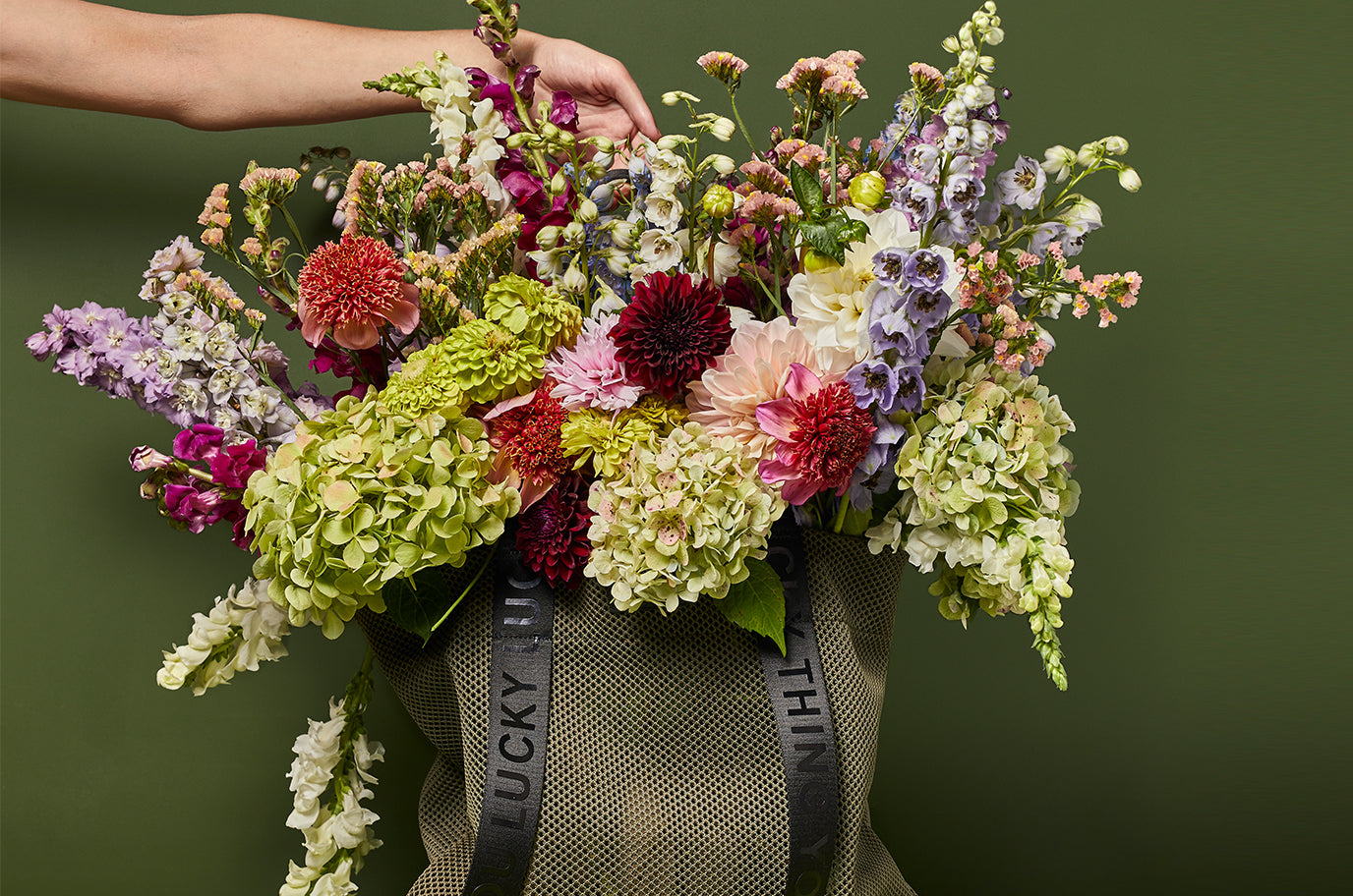 Introducing 'WILD GARDEN' | Saben's Spring Summer Collection