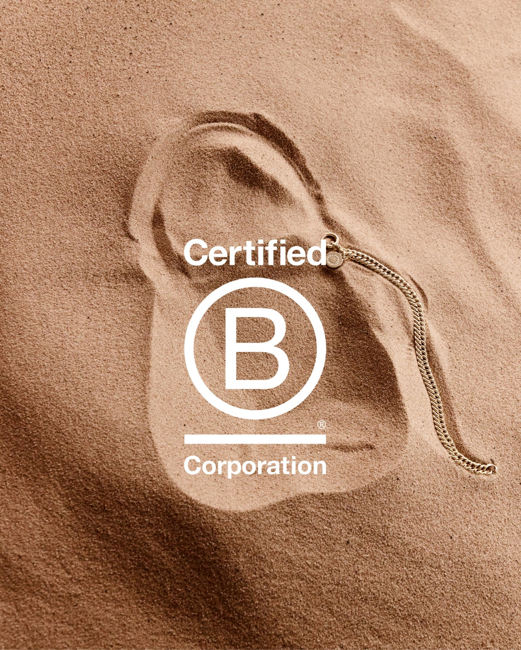 B Corp Journey