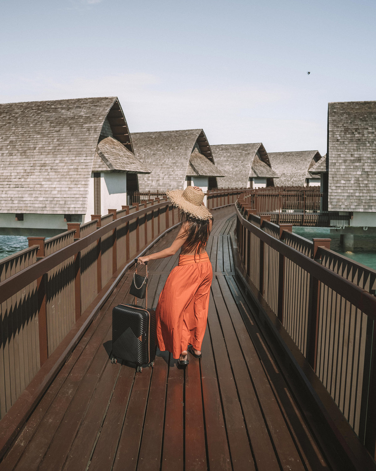 Set of Cabin + Medium Suitcase