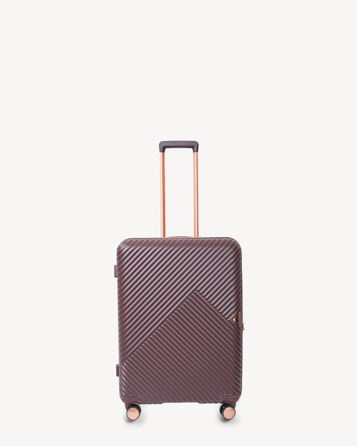 Set of Cabin, Medium, Large Suitcase